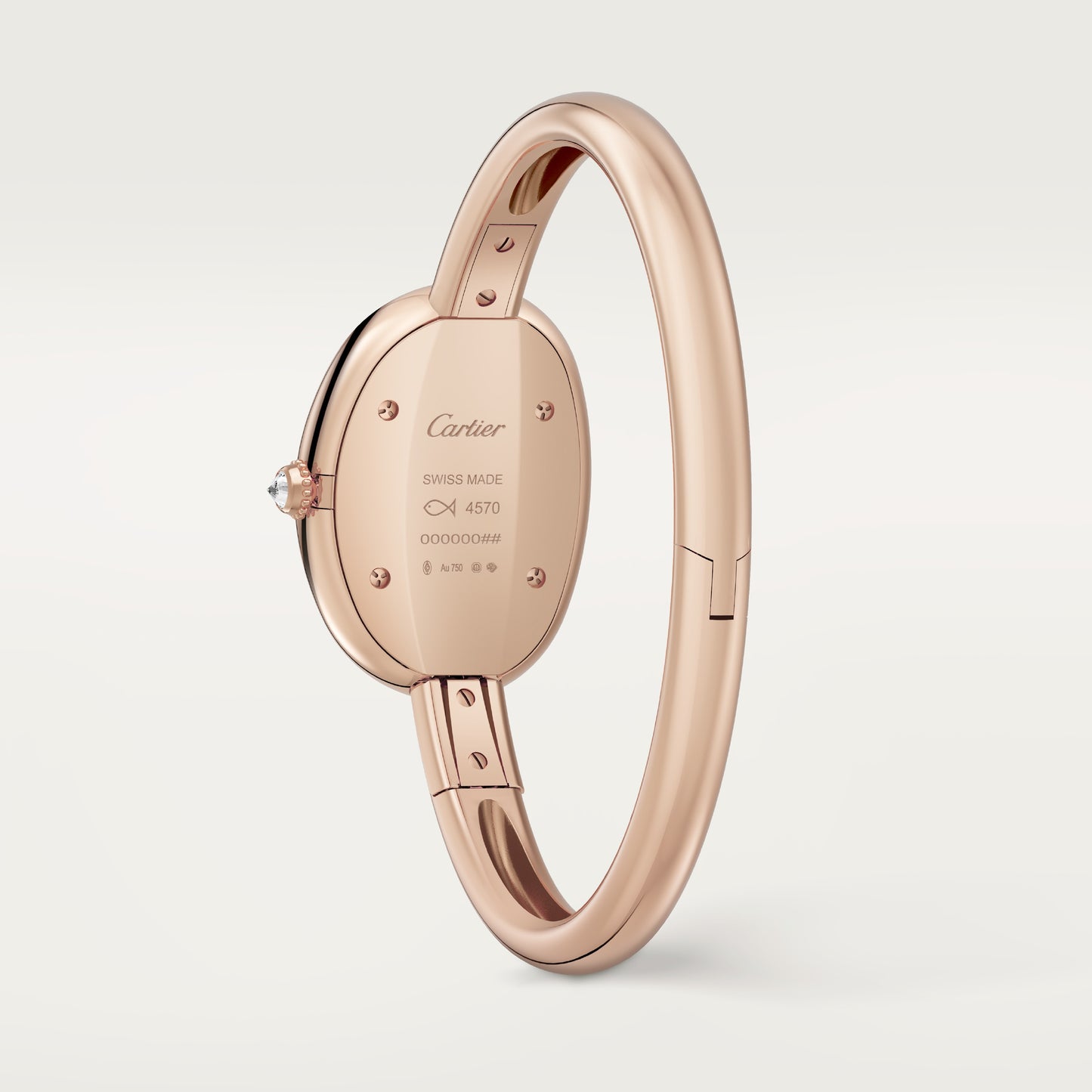 BAIGNOIRE WATCH