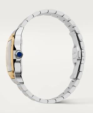 SS/18K LARGE SANTOS WITH BRACELET AND LEATHER STRAP