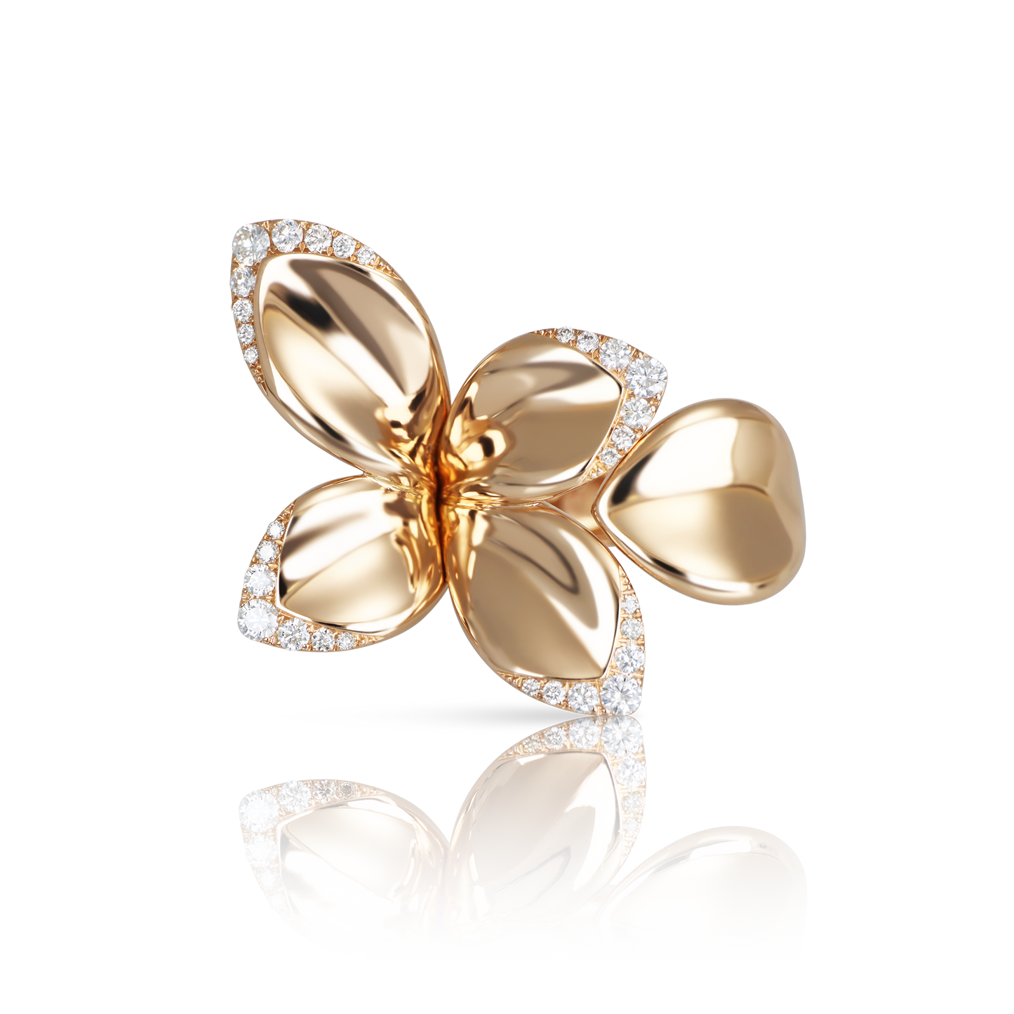 GIARDINI SEGRETI RING