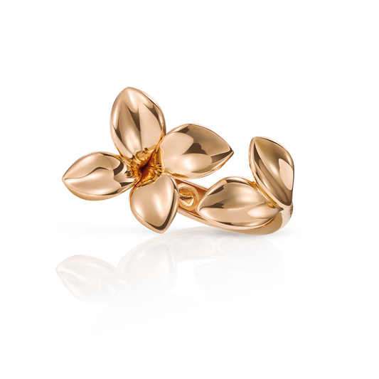 GIARDINI SEGRETI RING