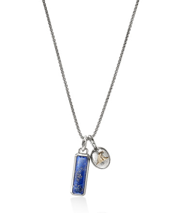 SS/14K LAPIS LAZULI WAVE TALISMAN NECKLACE