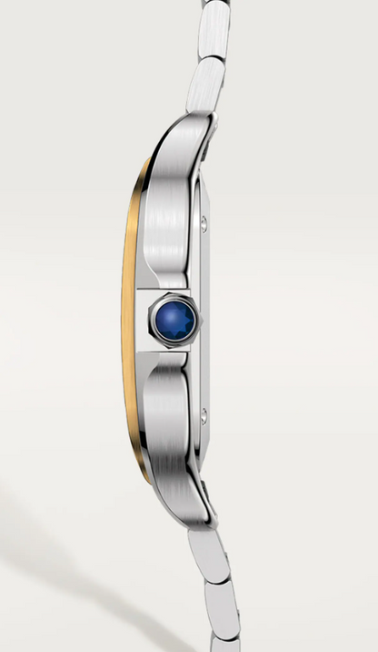 STEEL AND GOLD SANTOS MEDIUM MODEL WITH BRACELET AND BROWN CALFSKIN STRAP