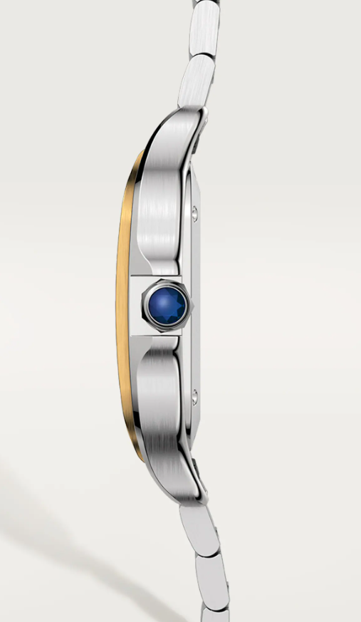 STEEL AND GOLD SANTOS MEDIUM MODEL WITH BRACELET AND BROWN CALFSKIN STRAP
