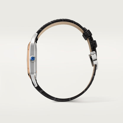 SANTOS-DUMONT WATCH