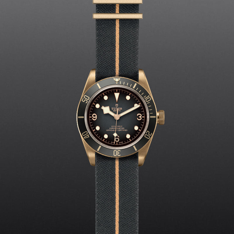 Black Bay Bronze
