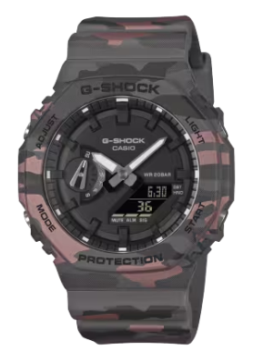 2100 SERIES ANALOG-DIGITAL CAMO