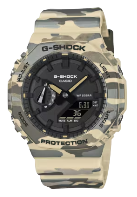 2100 SERIES ANALOG-DIGITAL CAMO