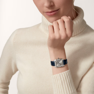 SS 38MM SANTOS-DUMONT SMALL MODEL WITH NAVY ALLIGATOR STRAP