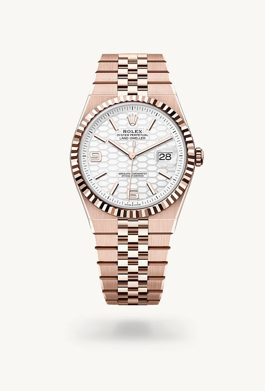 rolex Land-Dweller in 18 kt Everose gold, M127335-0001 - Weston Jewelers