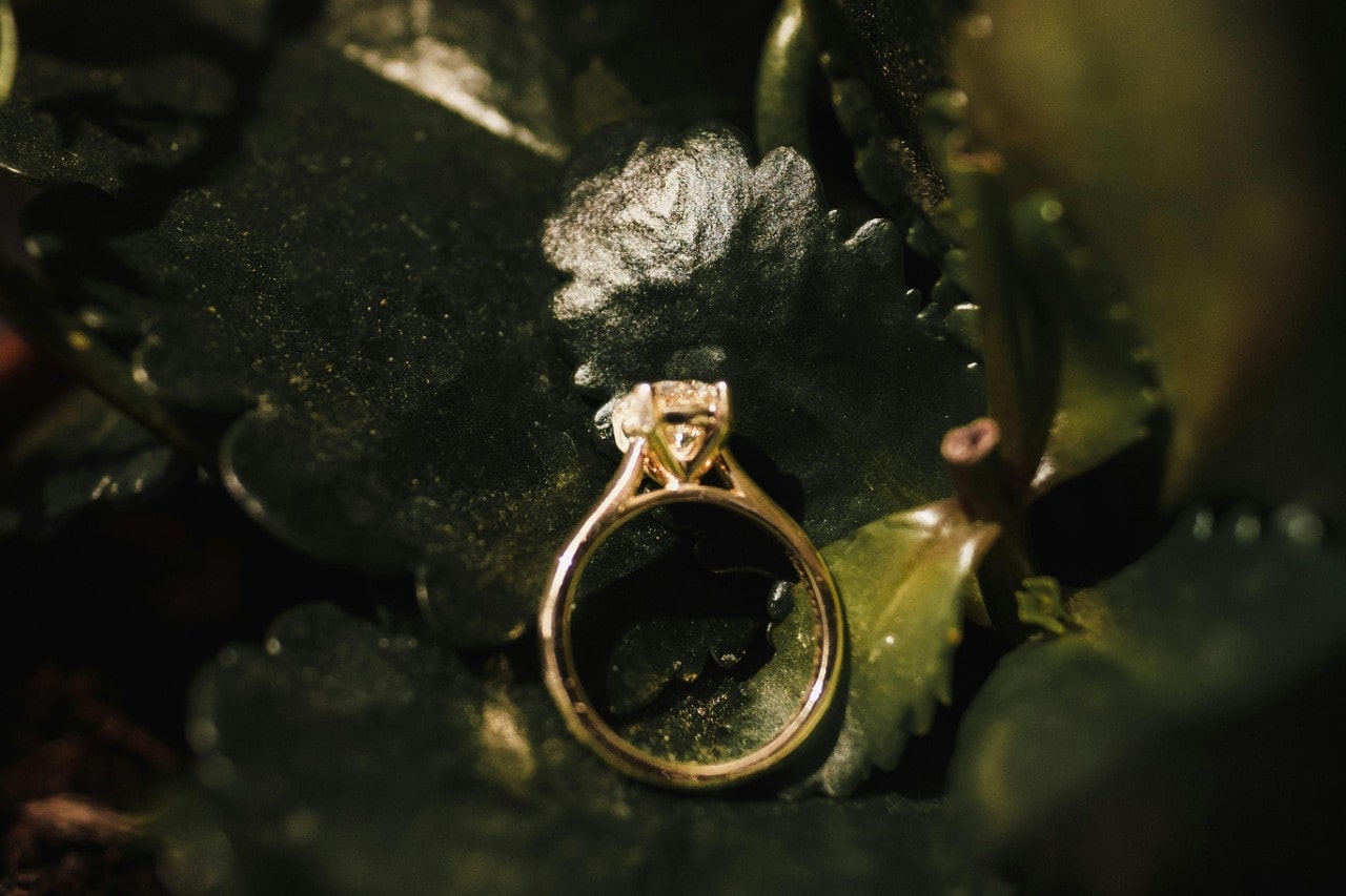 a yellow gold solitaire engagement ring on a bed of green leaves.