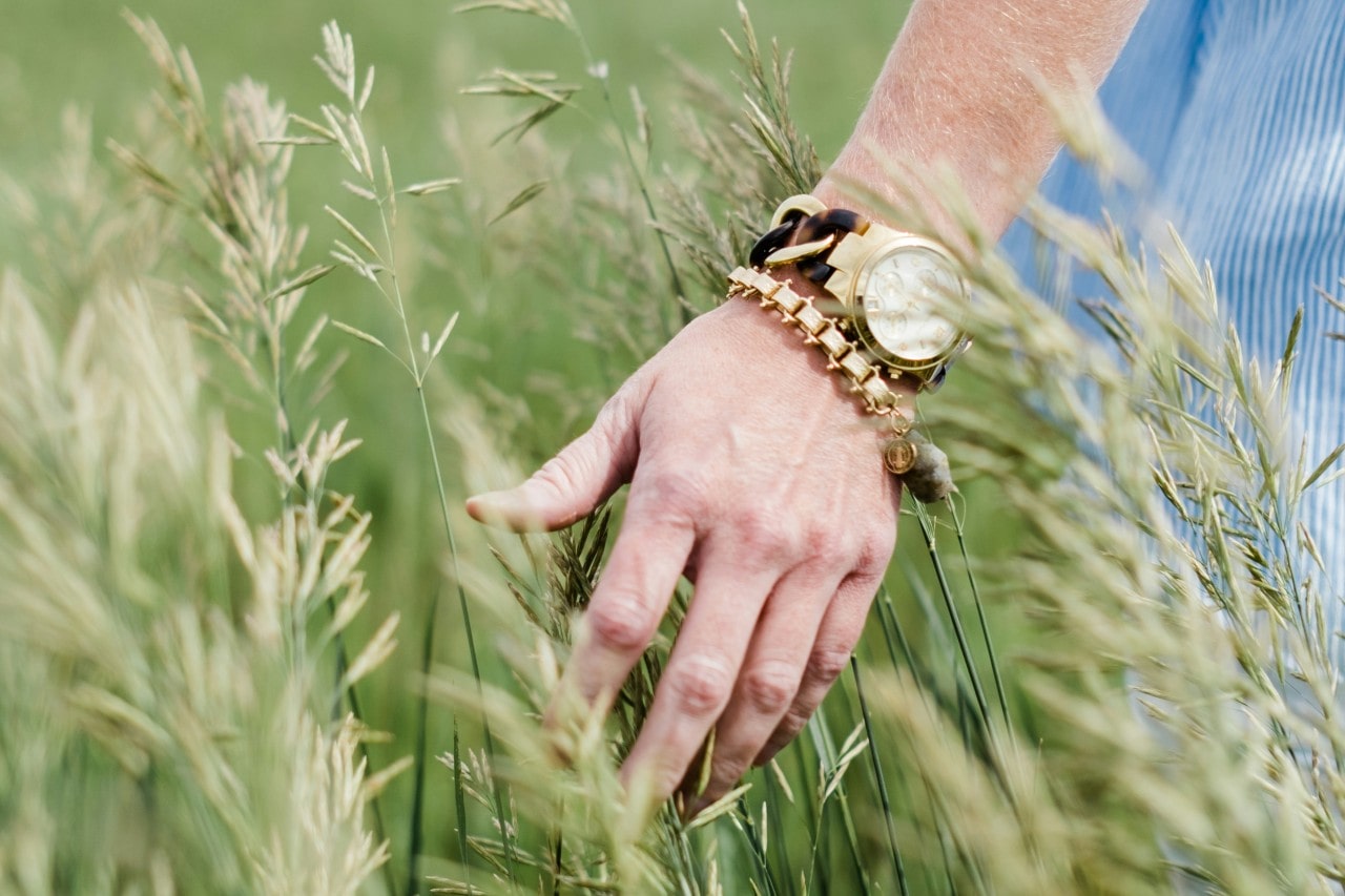 a woman’s hand touching tall grass, adorned with a gold bracelet and watch