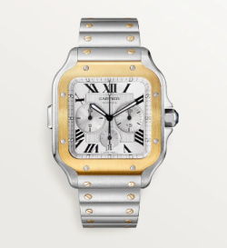 Cartier Watch  W2SA0008