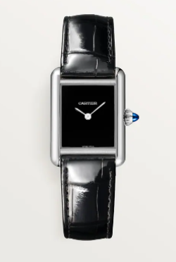 Cartier Watch  WSTA0071