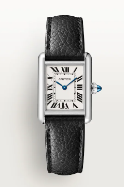 Cartier Watch  WSTA0042