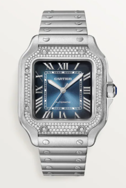 Cartier Watch  W4SA0006