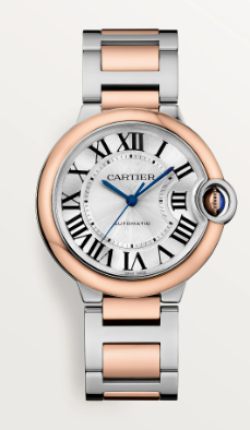 Cartier Watch  W2BB0033