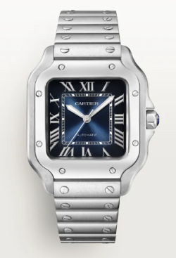 Cartier Watch  WSSA0063