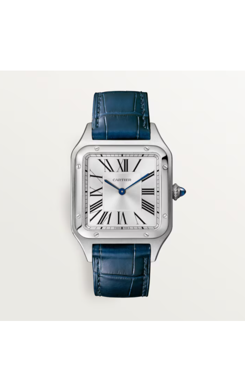 Cartier Watch  WSSA0085