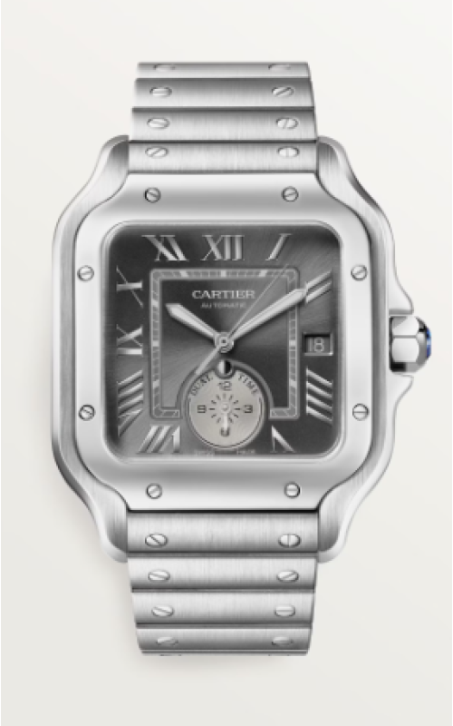 Cartier Watch  WSSA0076