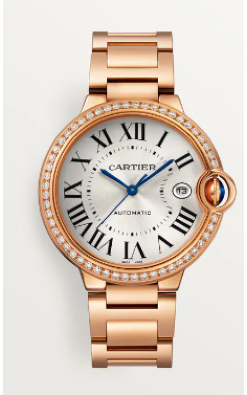 Cartier Watch  WJBB0057