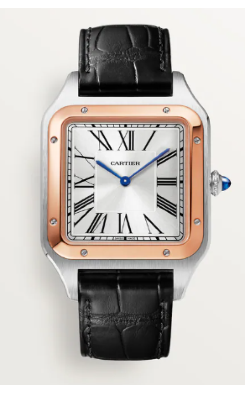 Cartier Watch  W2SA0017