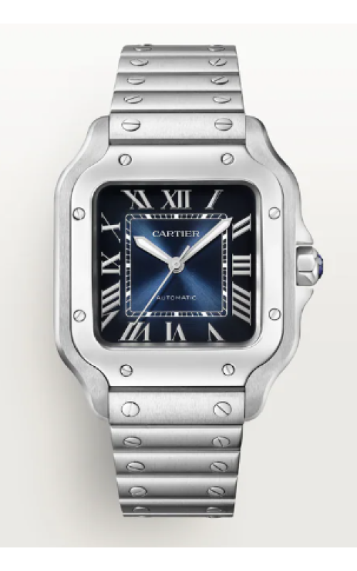 Cartier Watch  WSSA0063