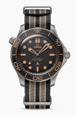 Omega Watch  21092422001001