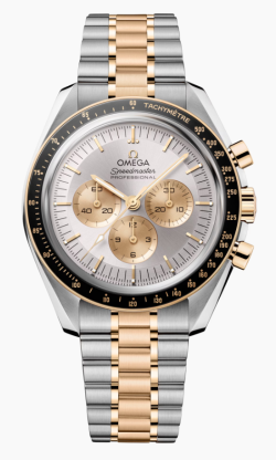 Omega Watch  31020425002001